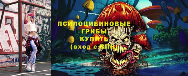 твердый Приозерск