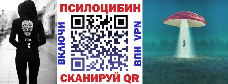 Псилоцибиновые грибы Psilocybine cubensis  продажа наркотиков  Калач 